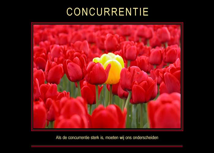 CONCURRENTIE