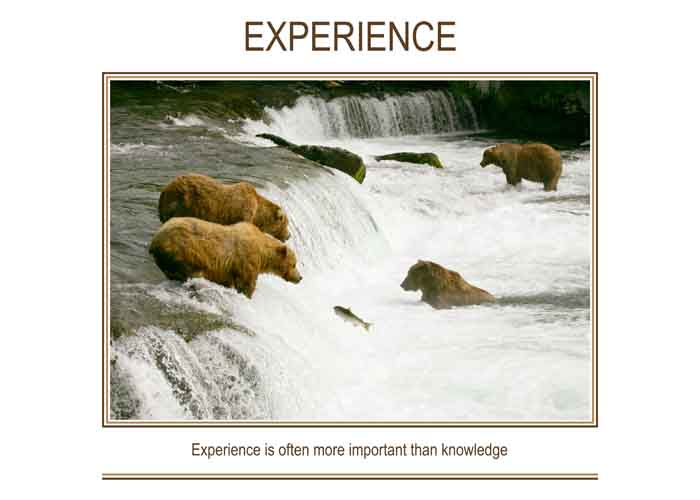 EXPERIENCE