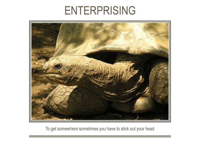 ENTERPRISING