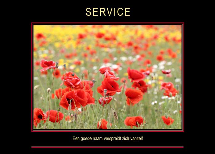 SERVICE