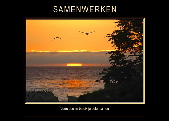 SAMENWERKEN