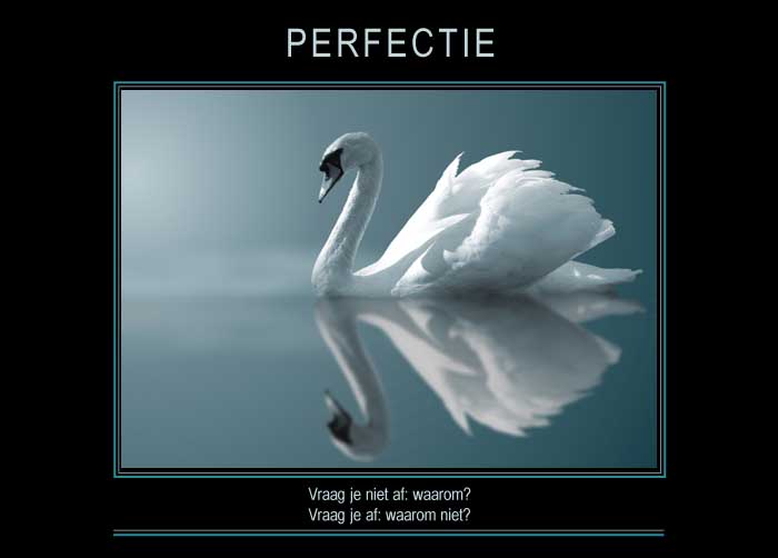 PERFECTIE