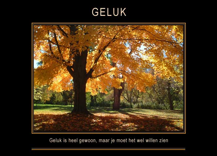 GELUK