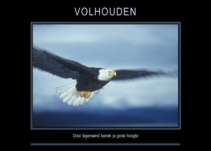 VOLHOUDEN