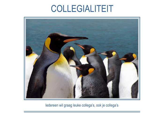 COLLEGIALITEIT