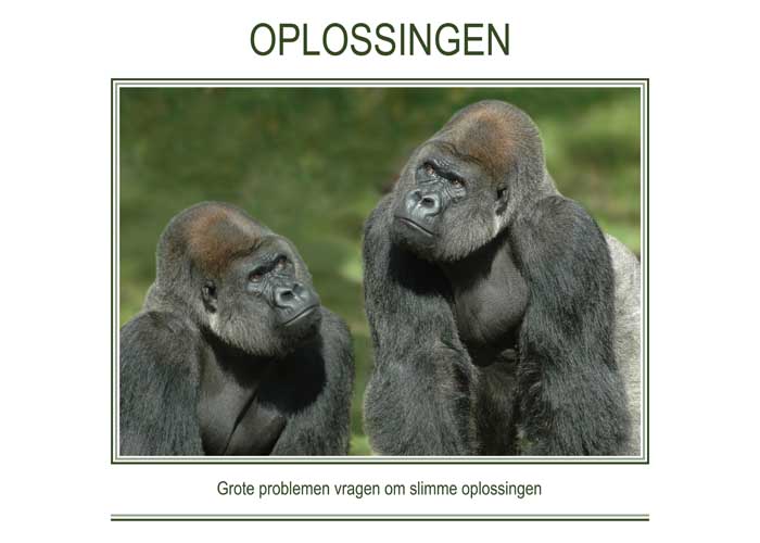 OPLOSSINGEN