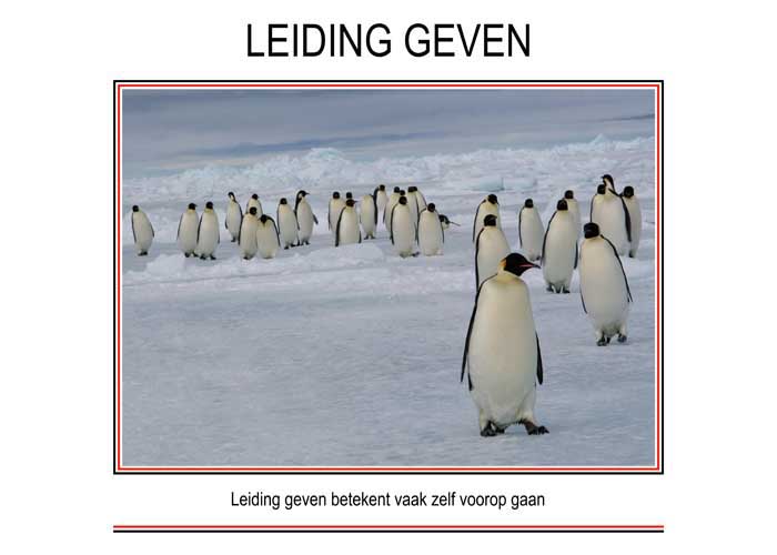 LEIDING GEVEN