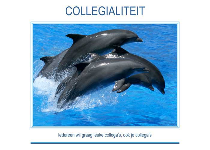 COLLEGIALITEIT