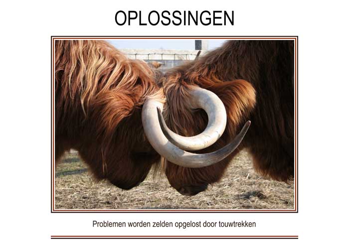 OPLOSSINGEN