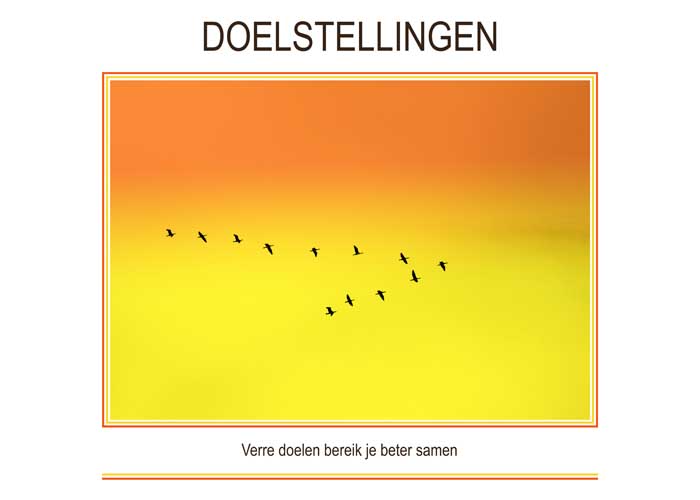 DOELSTELLINGEN