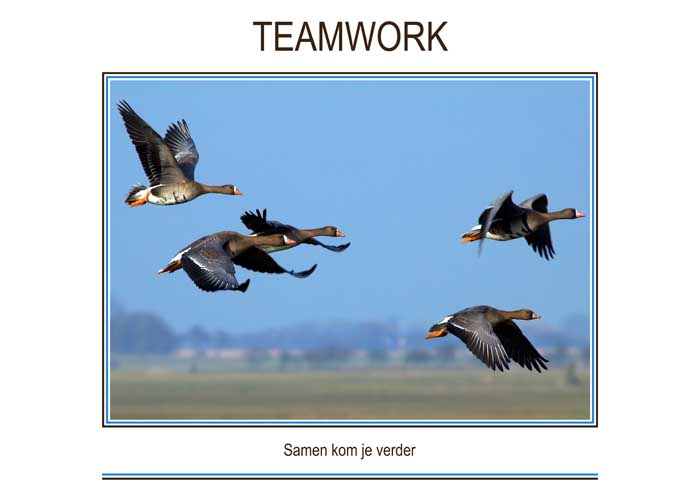 TEAMWORK