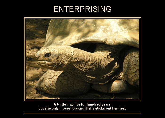 ENTERPRISING